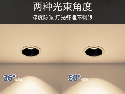 金盾系防眩筒燈 金盾系防眩筒燈