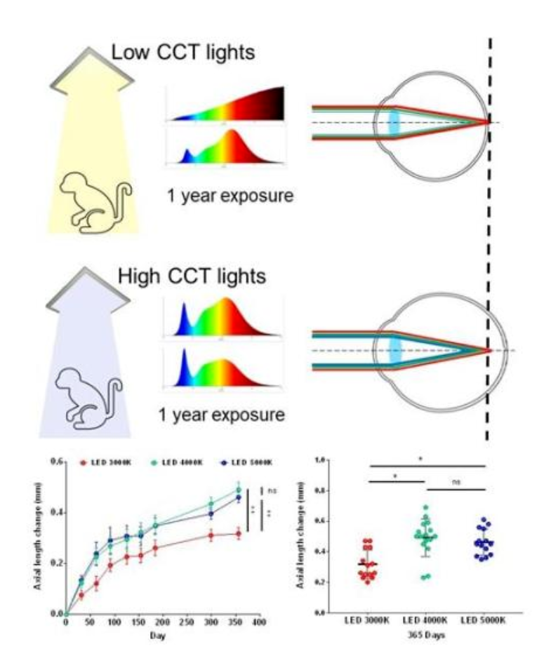 7240068C-C55E-4a22-93CE-197659AE6CB1 7240068C-C55E-4a22-93CE-197659AE6CB1