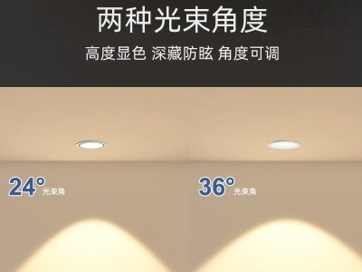 金盾系防眩射燈 金盾系防眩射燈